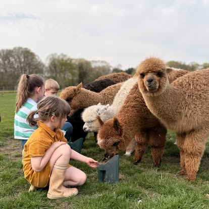 Dagkampjes op de boerderij